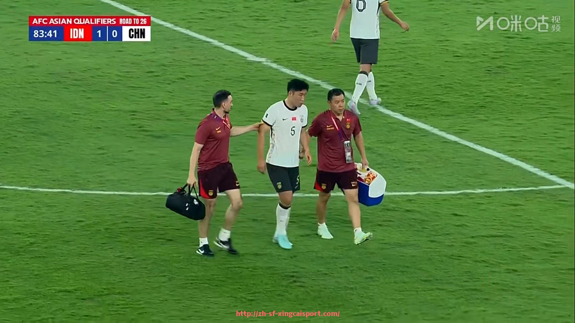 杏彩体育-意甲球队造假:关于意甲球队造假事件的分析