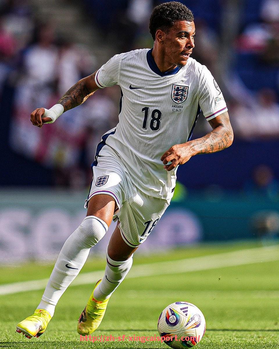 杏彩体育-法甲外援适应性测试结果分析及对赛季表现的影响