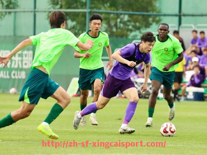 杏彩体育-法甲金靴奖竞争现状及球员进球效率比较