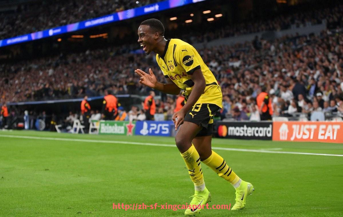 杏彩体育-火箭队曾进西部决赛的历史回顾及赛季盘点